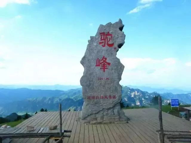 云顶草原花海,驼梁云顶草原风景