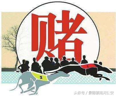 让你从赢钱到“家破人亡”！看警方如何斩断这个害人的赌博犯罪链条