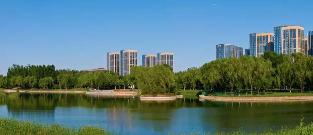 国际庄里有什么,国际庄指的是哪里