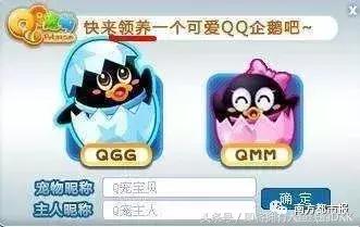 qq宠物退市在哪里兑换q币,qq宠物新人领q币多久过期