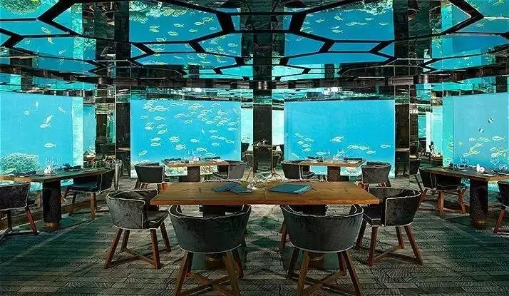 了解马代，看完这个链接就够了