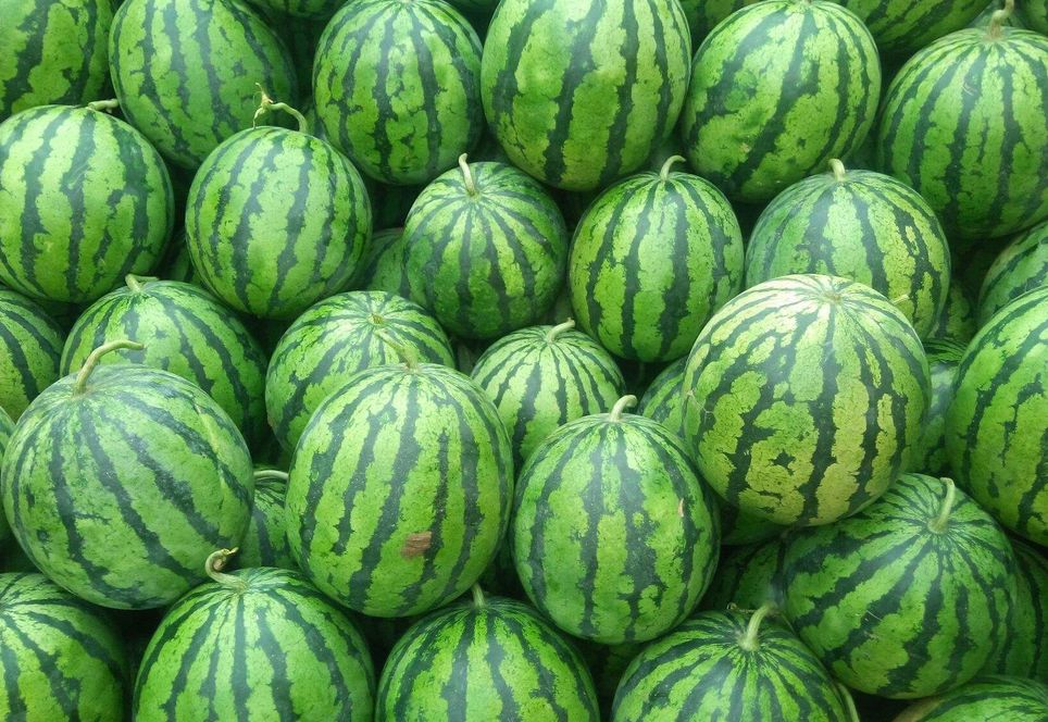 全国的西瓜哪里的最好吃,中国什么地方西瓜最好吃