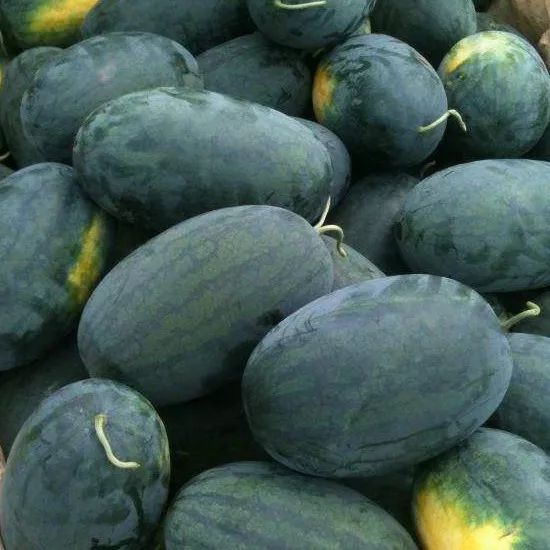 全国的西瓜哪里的最好吃,中国什么地方西瓜最好吃