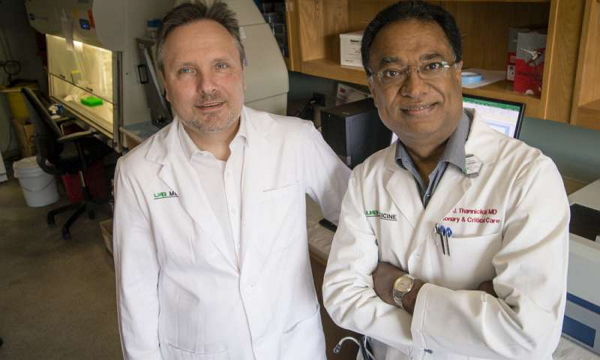 二甲双胍肺纤维化,抗癌特效药二甲双胍