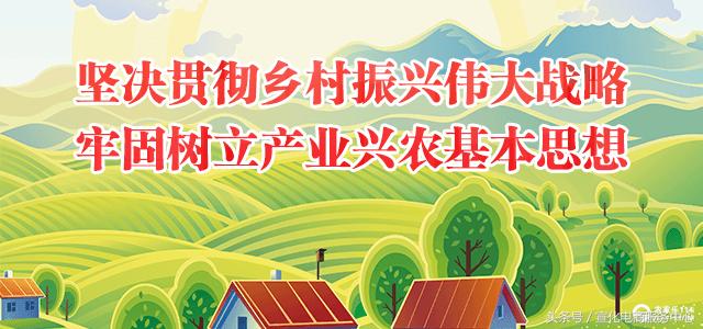 「三农福利」农家乐114导航网（全国乡村旅游导航服务系统）上线