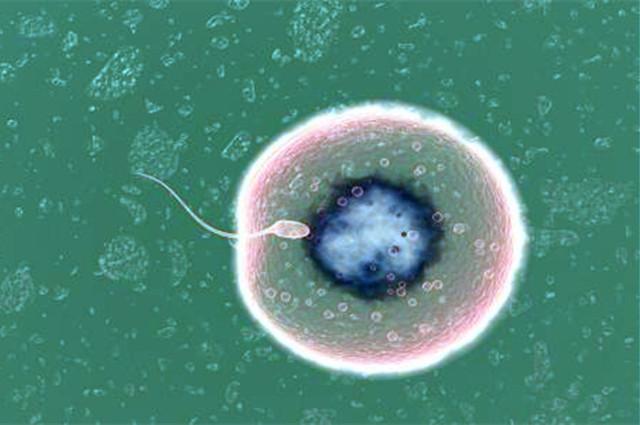 原来女人对你有这几种表现,形成受孕卵到着床会有什么感觉