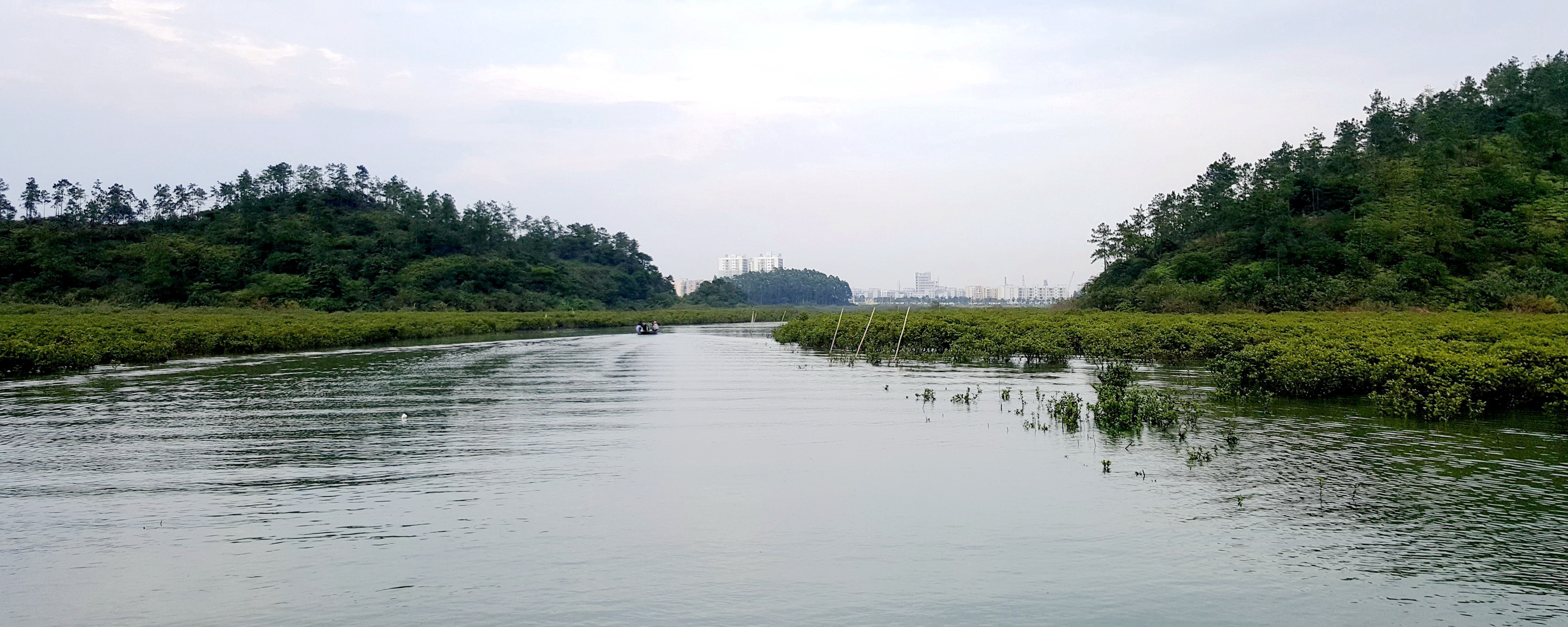 中国沿海旅行D4，天堂角到犀牛脚，人间难得一见钦州湾