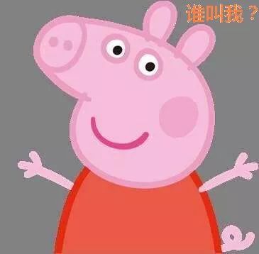 大学生毕业报到就这么办！网上轻松搞定！附江门地区详细指南