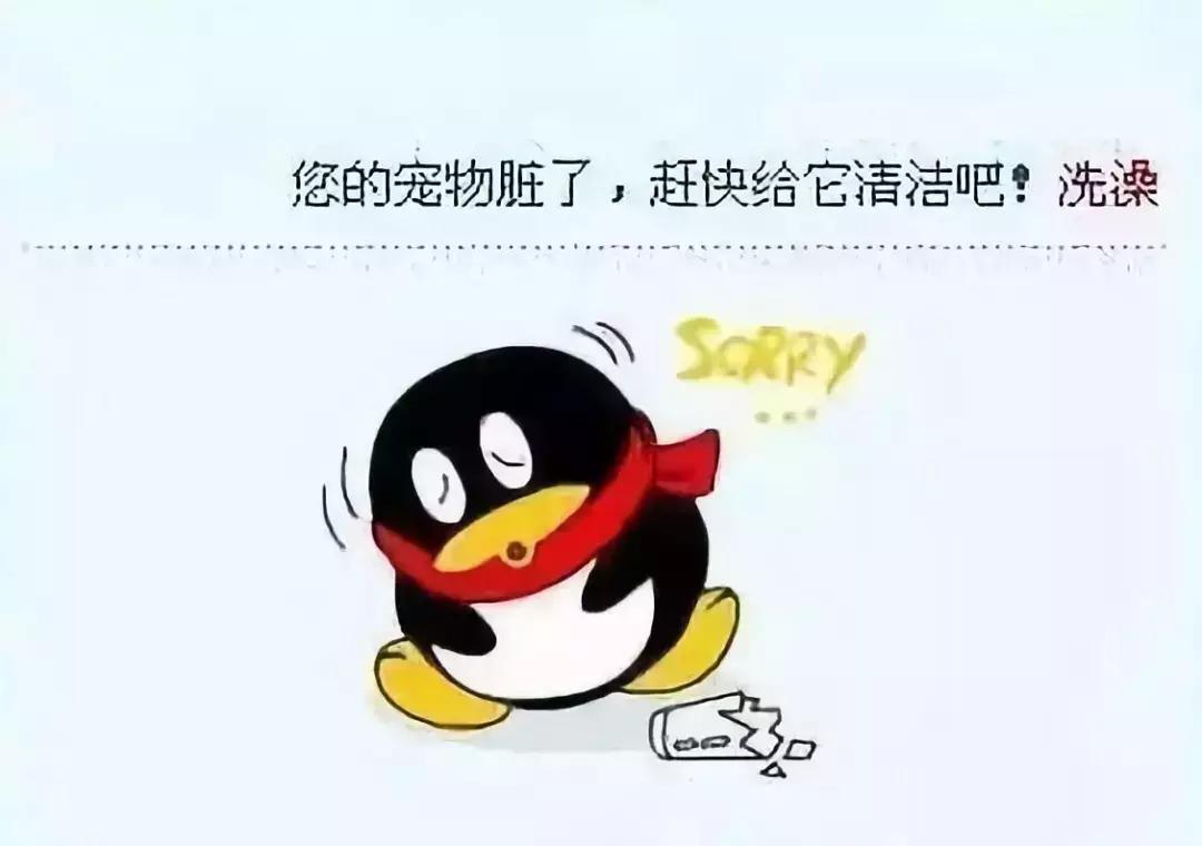 qq宠物将停运最后视频,qq宠物关停服务器