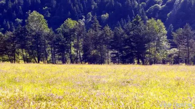 从成都出发最近的草原,成都出发4小时雪山花海