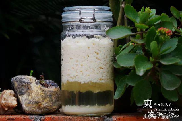 夏天适合喝什么酒？夏日酒单推荐，看完就想来一杯！