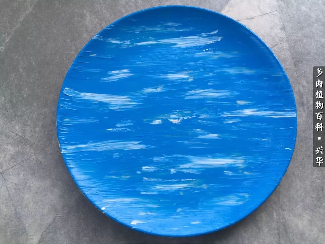 上水石假山造景庭院,上水石假山养的植物