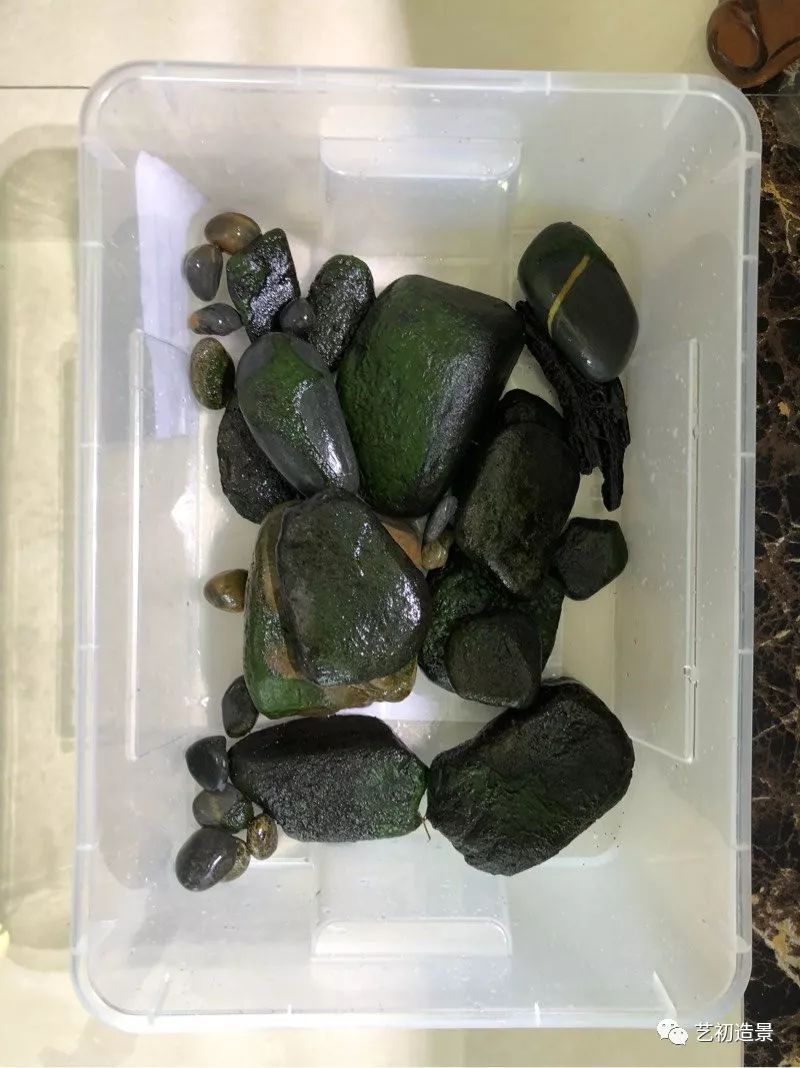 虾虎缸造景要什么过滤器,虾虎缸用什么石头造景好