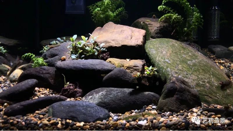 虾虎缸造景要什么过滤器,虾虎缸用什么石头造景好