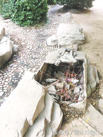 阳光花城a区房子,阳光花城小区