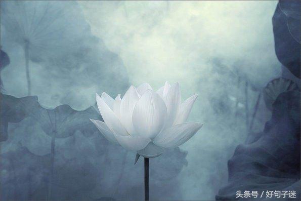 禅悟人生经典语录少说话,禅悟人生最简单的一段话