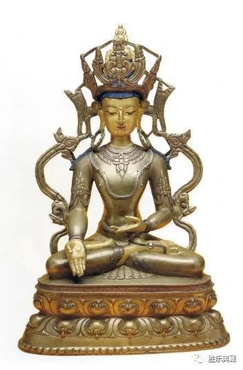 猫咪世界杯预言家,世界杯预言家猫咪