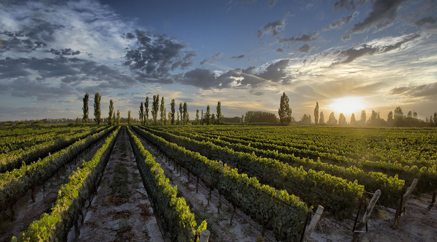 世界的尽头在哪里阿根廷,迷人的世界dj歌曲