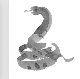 十二生肖六合与三合有什么区别,十二生肖三合和六合详解