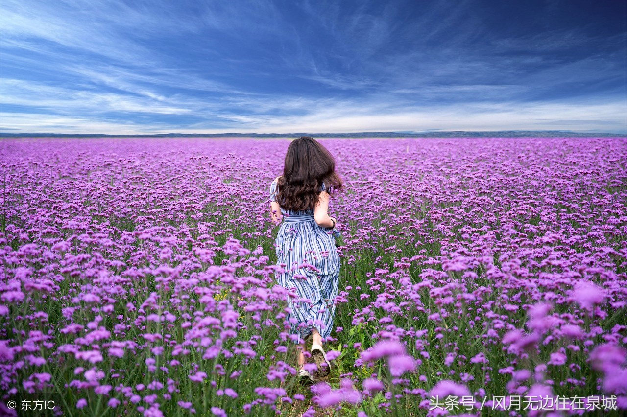 明年起哪些费用全部取消,3月1日起哪些费用全部取消