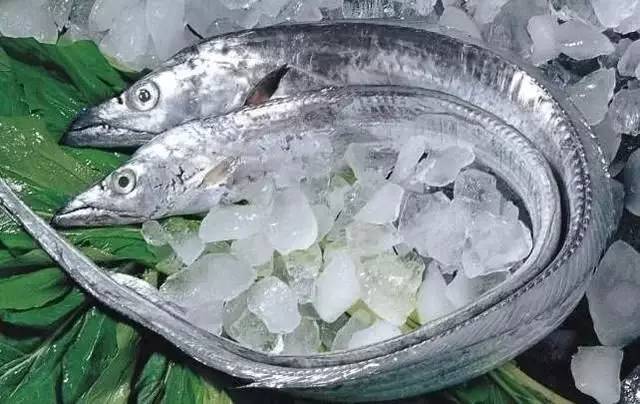 海鱼肉质鲜美，营养价值也高的10种鱼，你吃过几种？
