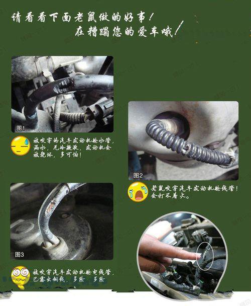 汽车防老鼠什么办法最好,最简单的汽车机舱驱鼠方法