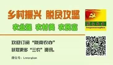 陇南市招商引资项目线上推介会,兰洽会2022陇南引进资金项目