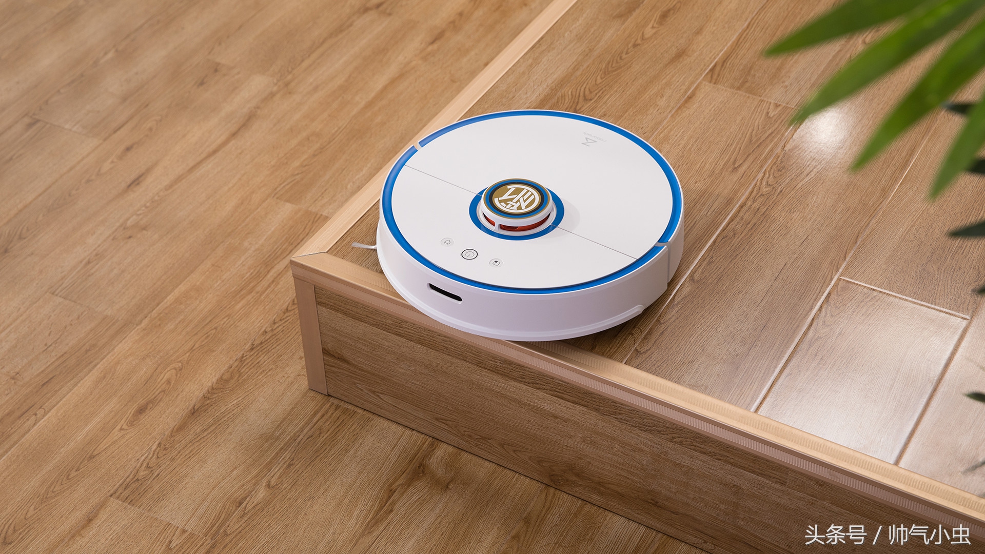 小米生态链与海尔生态链,小米生态链和乐视生态链