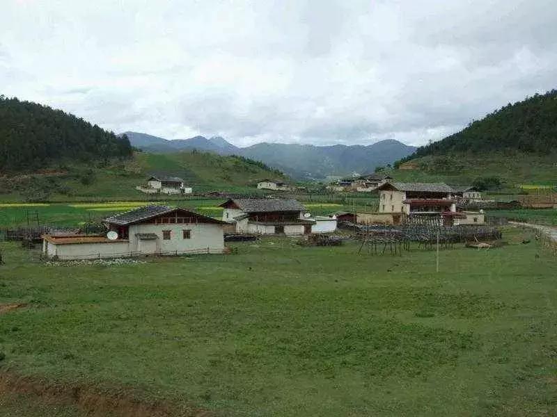 松茸有那么贵吗,为什么松茸鲜有的贵有的便宜