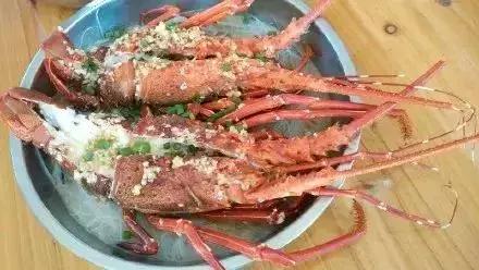 东莞游玩排名第一的海岛,东莞海岛观光旅游