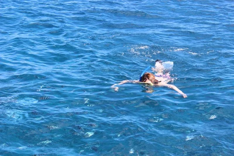 毛里求斯攻略,毛里求斯游玩全攻略