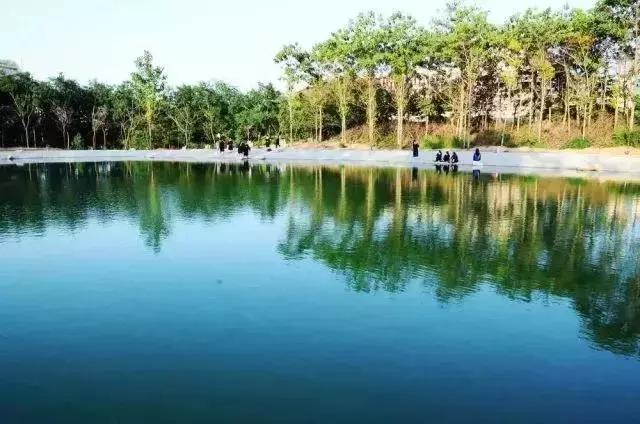 陕西高校｜来到陕师大，一起做最亮的闪star吧！