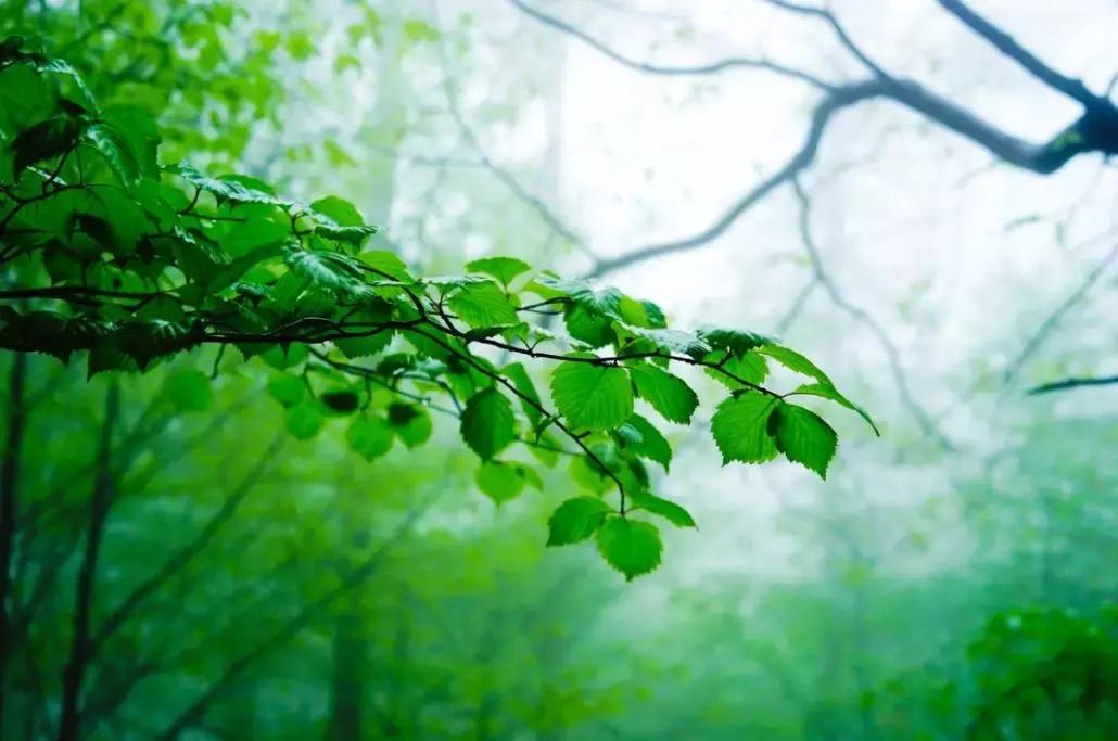 世界杯足彩中奖单,世界杯足彩怎么中奖最多