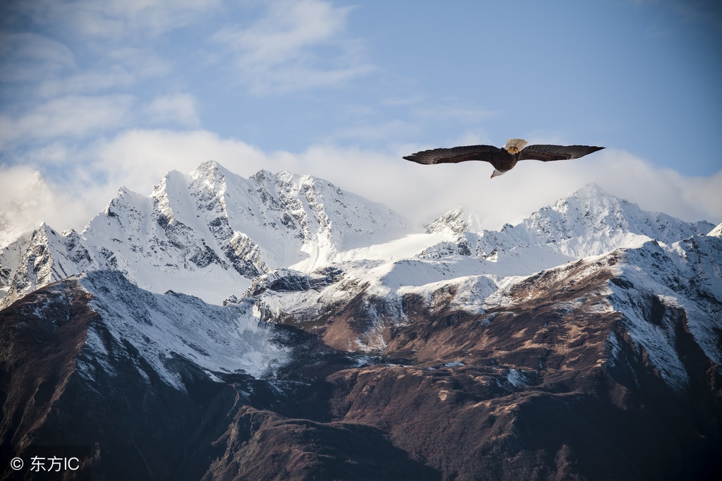 领导上任后需要做的三件事,新领导上任后最重要的三件事