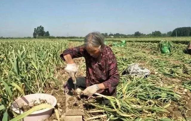 供销大集深度发力电商扶贫,供销社电商扶贫平台