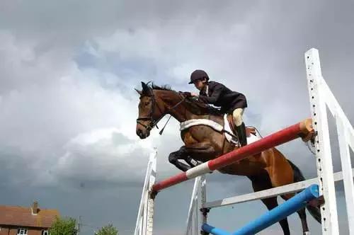 军运会倒计时一百天,武汉军运会的一些知识