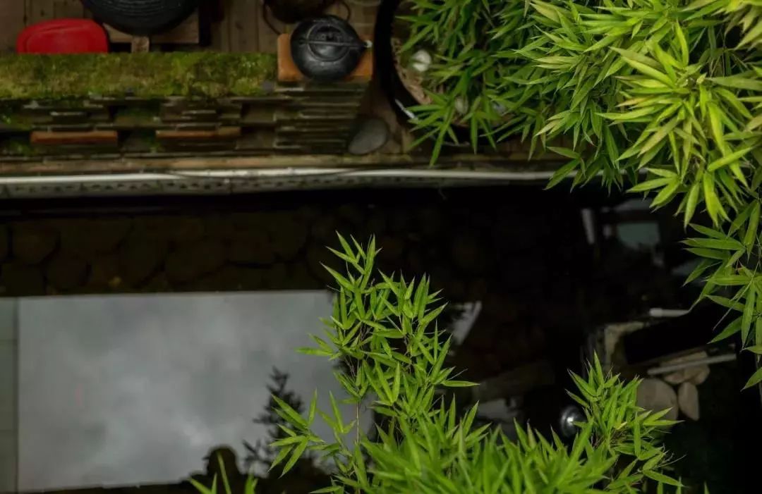 今日小暑养生方法,今日小暑养生法则