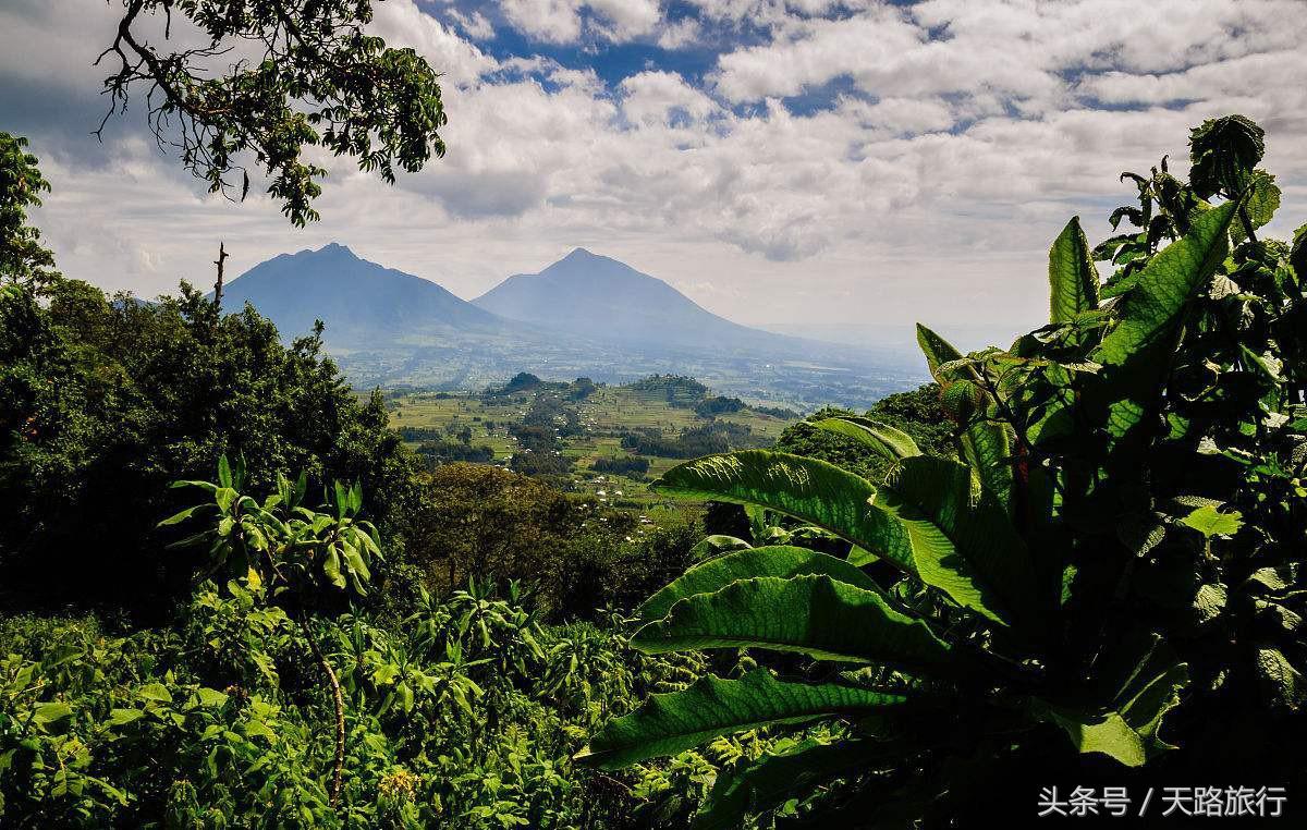 世界“最贵”最难进的公园,门票近万元仍一票难求,公园竟在非洲!