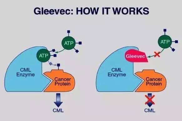 神药治百病真相,特效药为什么那么神奇