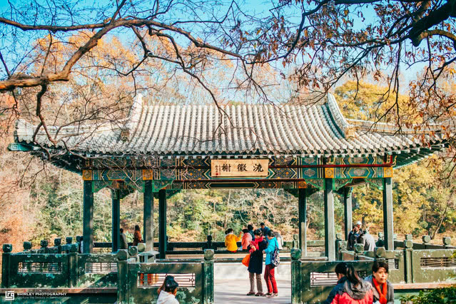 盘点被抖音带火的旅游城市,南京有啥小众好玩的