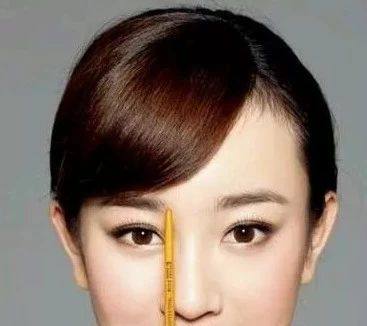 画眉教程推荐适合新手,画眉推荐初学者