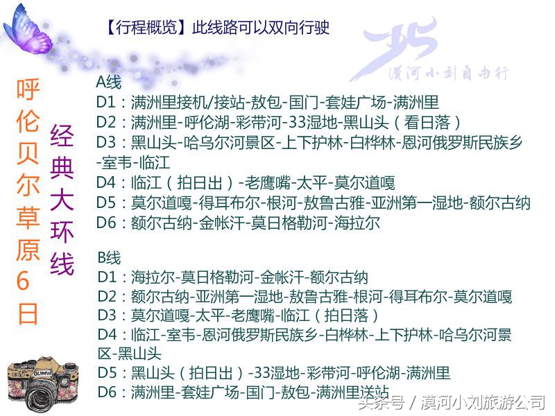 呼伦贝尔大草原有哪些美食,舌尖上的美味呼伦贝尔