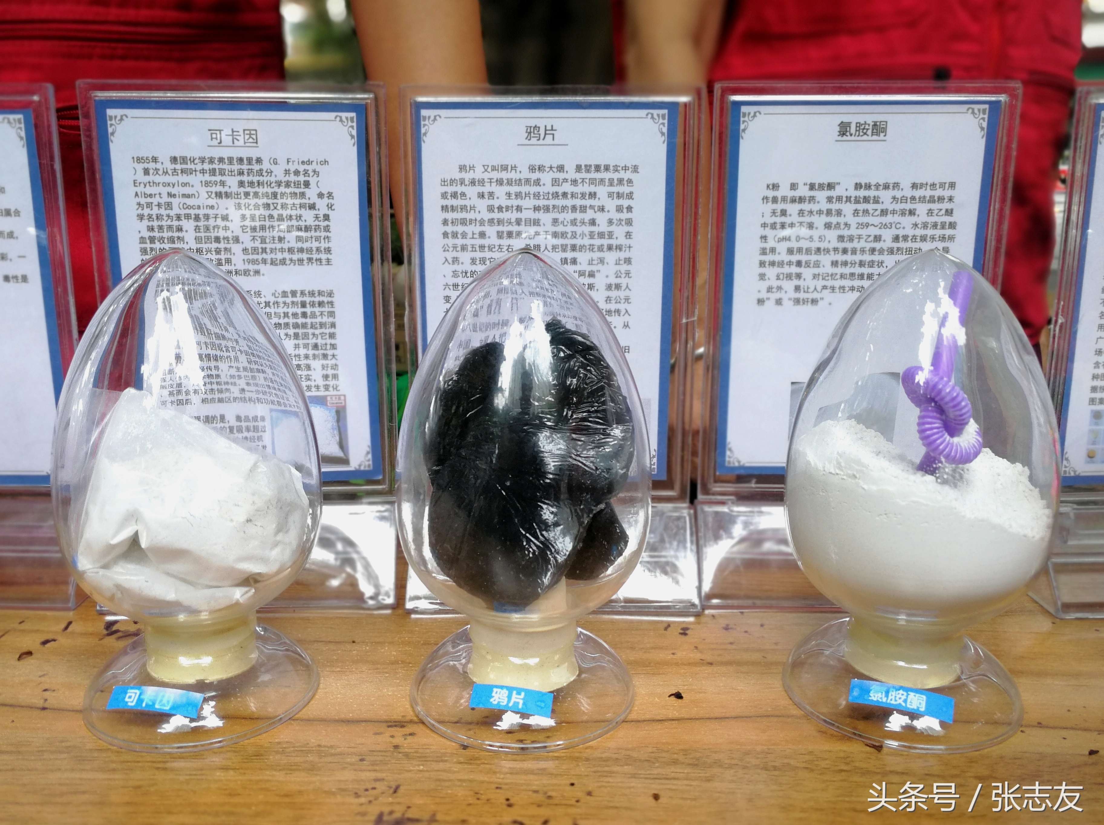 禁毒宣传你必知道的知识,禁毒宣传日一览表