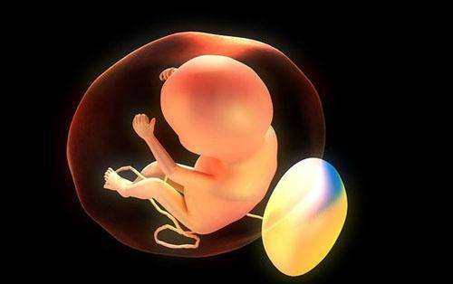 胎宝宝一到夜间就胎动频繁？其中的原因你都知道吗？