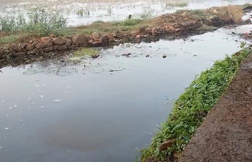 不被大伙注意的水沟，撒网下去后没动静，亲自下水收网，惊喜来了