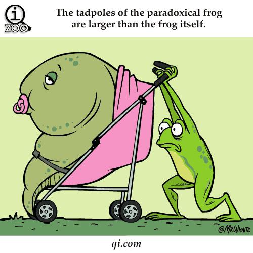 呼和浩特5月9日天气预报,呼和浩特天气穿衣指南7月