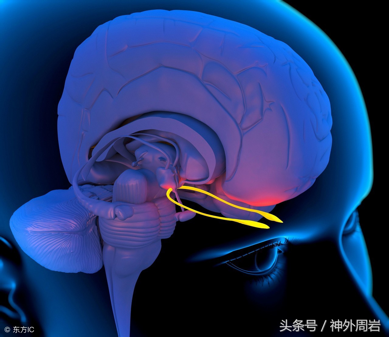 外伤伤口愈合后没知觉,外伤后一直淤血不消怎么办