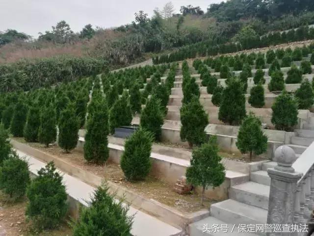 花在坟墓上的钱，比盖一栋房子还贵……浙江温州扭转厚葬薄养风气