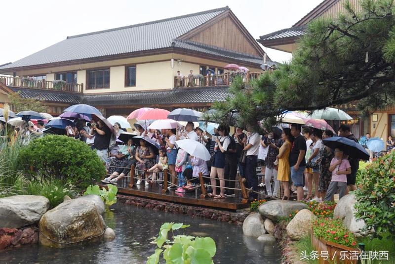 烟雨濛濛诗经里，古琴雅集醉游人