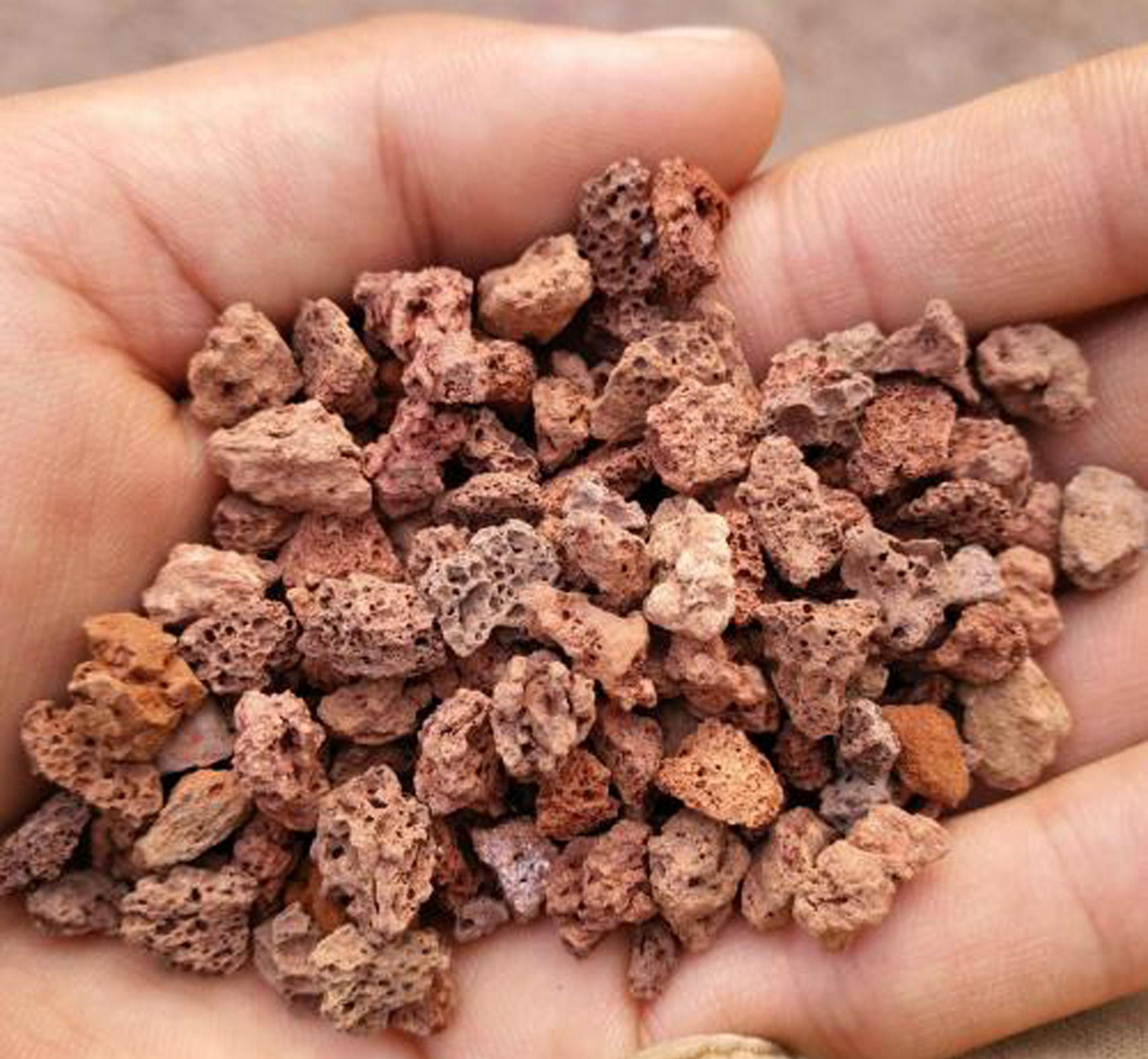 不同盆景的养护难度,不同盆栽施什么肥